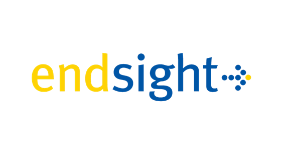 Endsight Logo